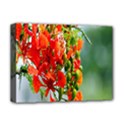 Gathering Sping Flowers Wallpapers Deluxe Canvas 16  x 12  (Stretched)  View1