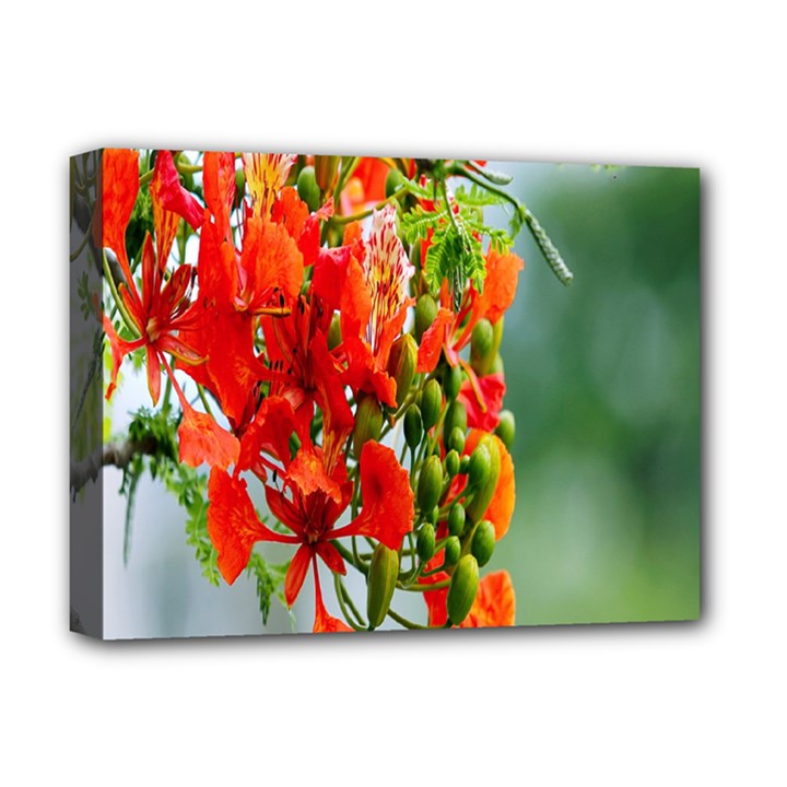 Gathering Sping Flowers Wallpapers Deluxe Canvas 16  x 12  (Stretched) 