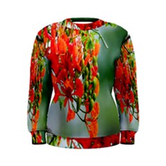 Gathering Sping Flowers Wallpapers Women s Sweatshirt by artworkshop