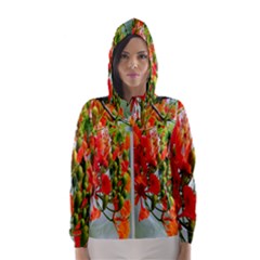 Gathering Sping Flowers Wallpapers Women s Hooded Windbreaker by artworkshop