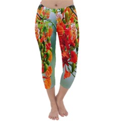 Gathering Sping Flowers Wallpapers Capri Winter Leggings  by artworkshop