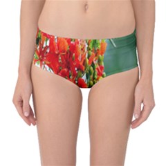 Gathering Sping Flowers Wallpapers Mid-waist Bikini Bottoms by artworkshop