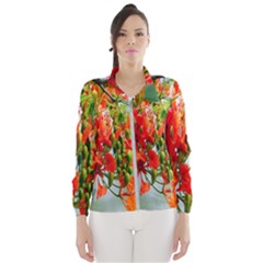 Gathering Sping Flowers Wallpapers Women s Windbreaker by artworkshop