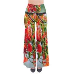 Gathering Sping Flowers Wallpapers So Vintage Palazzo Pants by artworkshop