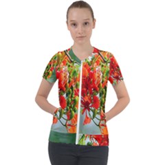 Gathering Sping Flowers Wallpapers Short Sleeve Zip Up Jacket by artworkshop