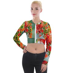 Gathering Sping Flowers Wallpapers Long Sleeve Cropped Velvet Jacket by artworkshop