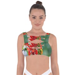 Gathering Sping Flowers Wallpapers Bandaged Up Bikini Top by artworkshop