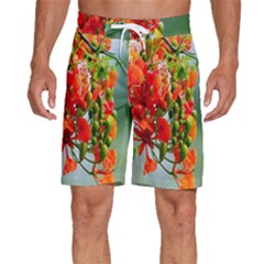 Gathering Sping Flowers Wallpapers Men s Beach Shorts by artworkshop