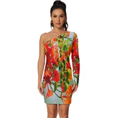 Gathering Sping Flowers Wallpapers Long Sleeve One Shoulder Mini Dress by artworkshop