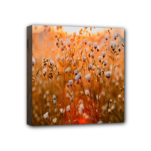 Late Afternoon Mini Canvas 4  X 4  (stretched) by artworkshop