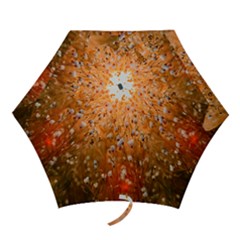 Late Afternoon Mini Folding Umbrellas by artworkshop