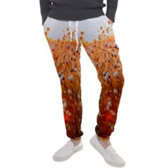 Late Afternoon Men s Jogger Sweatpants by artworkshop