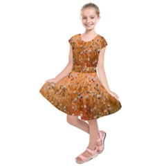 Late Afternoon Kids  Short Sleeve Dress by artworkshop