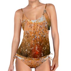 Late Afternoon Tankini Set by artworkshop