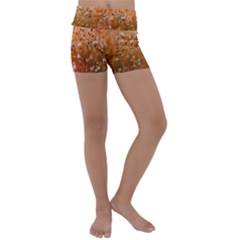 Late Afternoon Kids  Lightweight Velour Yoga Shorts by artworkshop