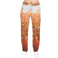 Late Afternoon Women Velvet Drawstring Pants by artworkshop