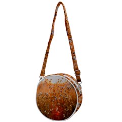 Late Afternoon Crossbody Circle Bag