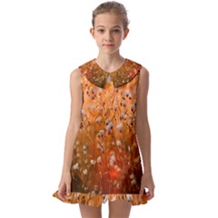 Late Afternoon Kids  Pilgrim Collar Ruffle Hem Dress by artworkshop