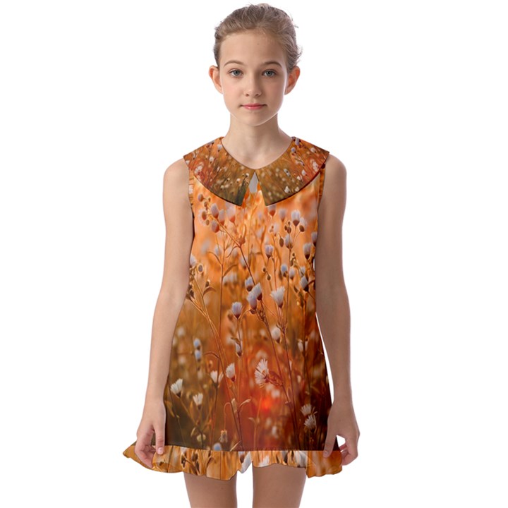 Late Afternoon Kids  Pilgrim Collar Ruffle Hem Dress