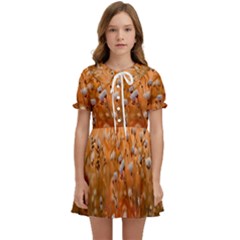 Late Afternoon Kids  Sweet Collar Dress by artworkshop