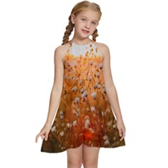 Late Afternoon Kids  Halter Collar Waist Tie Chiffon Dress by artworkshop