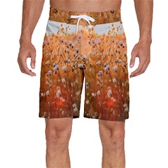 Late Afternoon Men s Beach Shorts