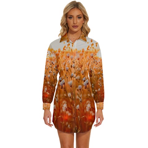 Late Afternoon Womens Long Sleeve Shirt Dress by artworkshop