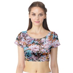 Nature Beautiful Rainbow Short Sleeve Crop Top by artworkshop