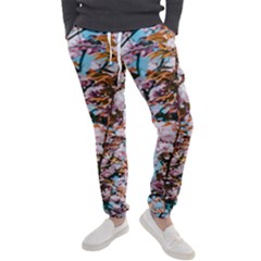 Nature Beautiful Rainbow Men s Jogger Sweatpants by artworkshop