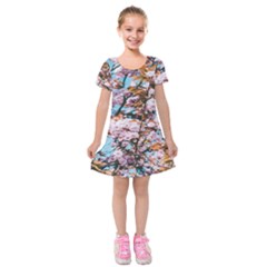 Nature Beautiful Rainbow Kids  Short Sleeve Velvet Dress by artworkshop