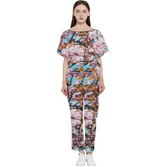 Nature Beautiful Rainbow Batwing Lightweight Chiffon Jumpsuit by artworkshop