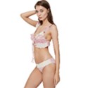 Background Pink Beige Decorative Texture Craft Low Cut Ruffle Edge Bikini Set View2