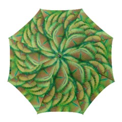 Beautiful Peacock Golf Umbrellas by Simbadda