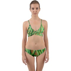 Beautiful Peacock Wrap Around Bikini Set by Simbadda