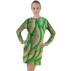 Beautiful Peacock Long Sleeve Hoodie Dress