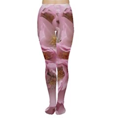 Cherry-blossoms Tights