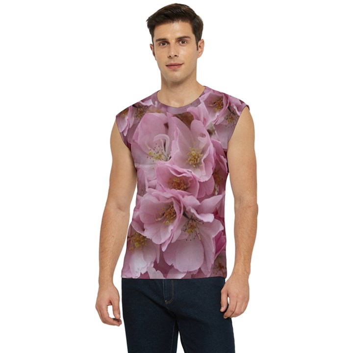 Cherry-blossoms Men s Raglan Cap Sleeve Tee