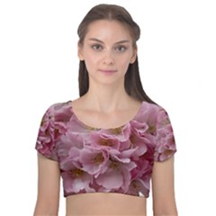 Cherry-blossoms Velvet Short Sleeve Crop Top 