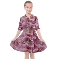 Cherry-blossoms Kids  All Frills Chiffon Dress by Excel