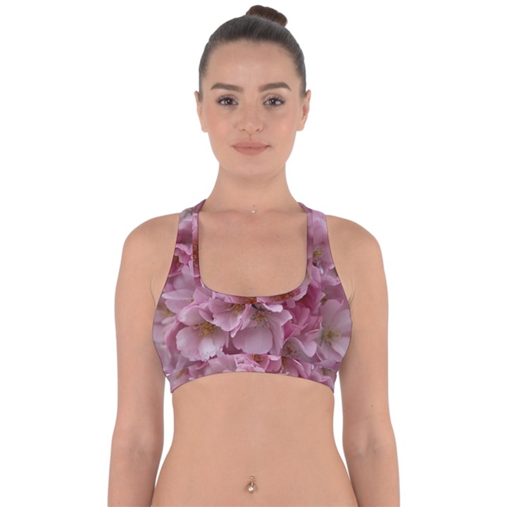 Cherry-blossoms Cross Back Hipster Bikini Top 