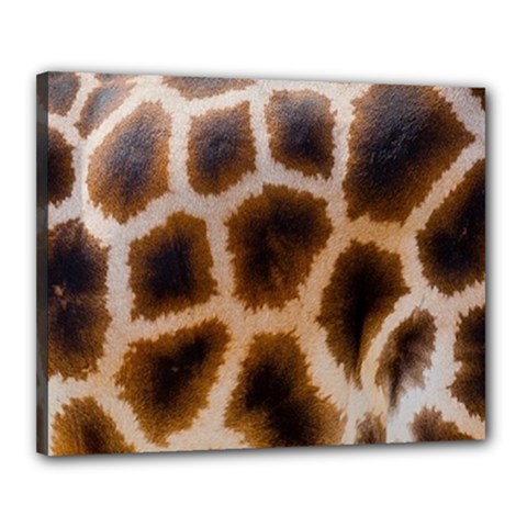 Giraffe Skin Design Canvas 20  X 16  (stretched)