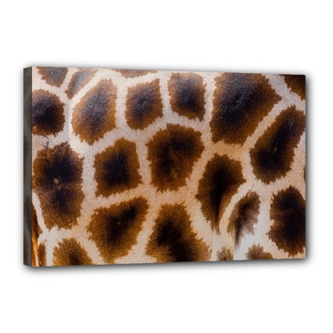 Giraffe Skin Design Canvas 18  X 12  (stretched) by Excel