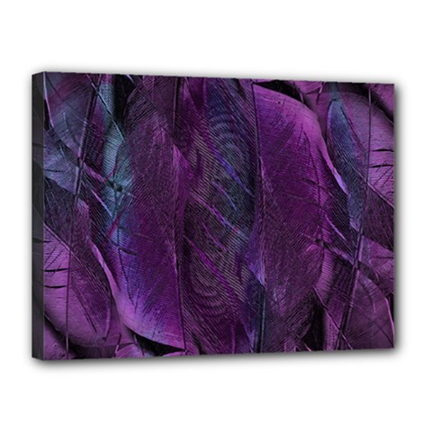 Feather Pattern Texture Form Canvas 16  X 12  (stretched) by Grandong