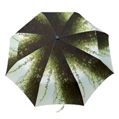 Branch Plant Shrub Green Natural Folding Umbrellas by Grandong