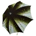 Branch Plant Shrub Green Natural Hook Handle Umbrellas (Large) View2