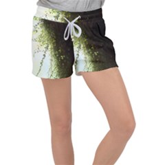 Branch Plant Shrub Green Natural Women s Velour Lounge Shorts