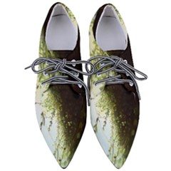 Branch Plant Shrub Green Natural Pointed Oxford Shoes by Grandong