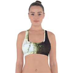 Branch Plant Shrub Green Natural Cross Back Hipster Bikini Top  by Grandong