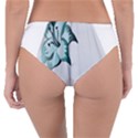 Img 20230716 151433 Reversible Classic Bikini Bottoms View2