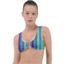 Color Stripes Ring Detail Bikini Top View1